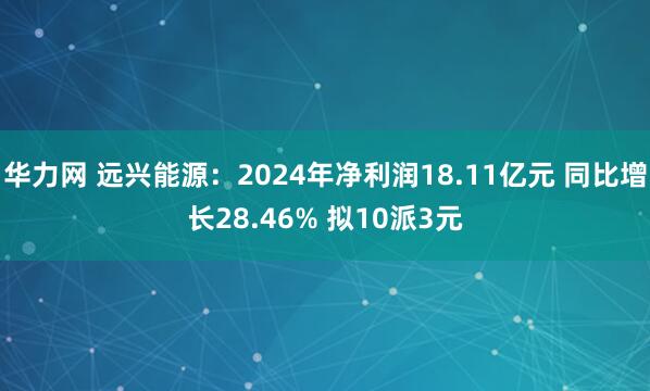 华力网 远兴能源：2024年净利润18.11亿元 同比增长28.46% 拟10派3元