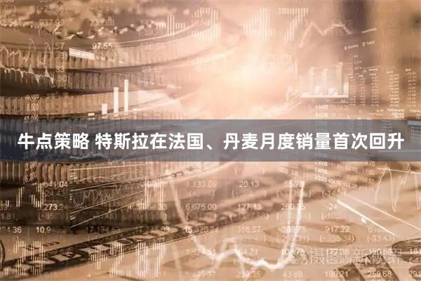 牛点策略 特斯拉在法国、丹麦月度销量首次回升
