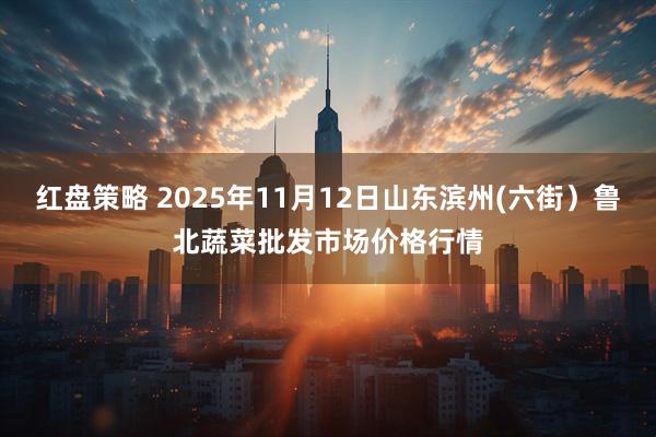 红盘策略 2025年11月12日山东滨州(六街）鲁北蔬菜批发市场价格行情