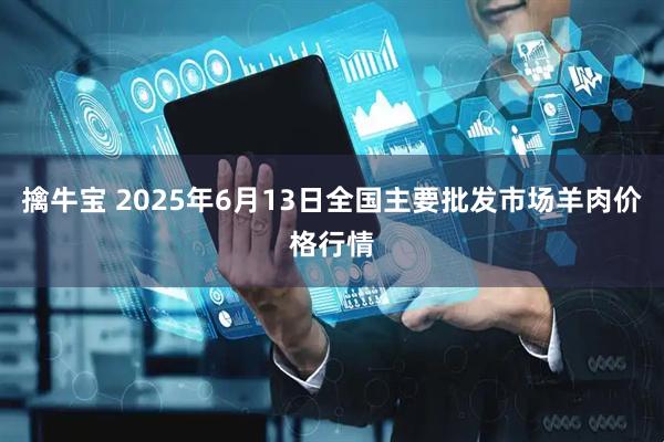 擒牛宝 2025年6月13日全国主要批发市场羊肉价格行情